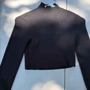 Divided Black Fitted Mandarin Collar Crop Top